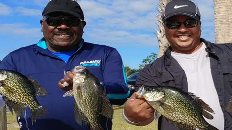 Two anglers holding several black crappie after a Florida fishing trip
