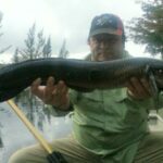 C 14 Canal thumbnail