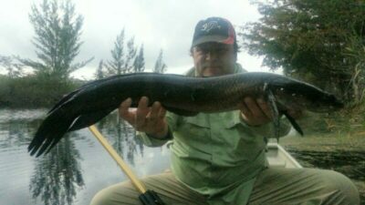 Markham Park 2 Markham Park