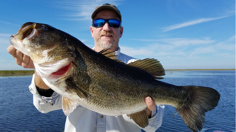 Strictly Artificial Bass Fishing