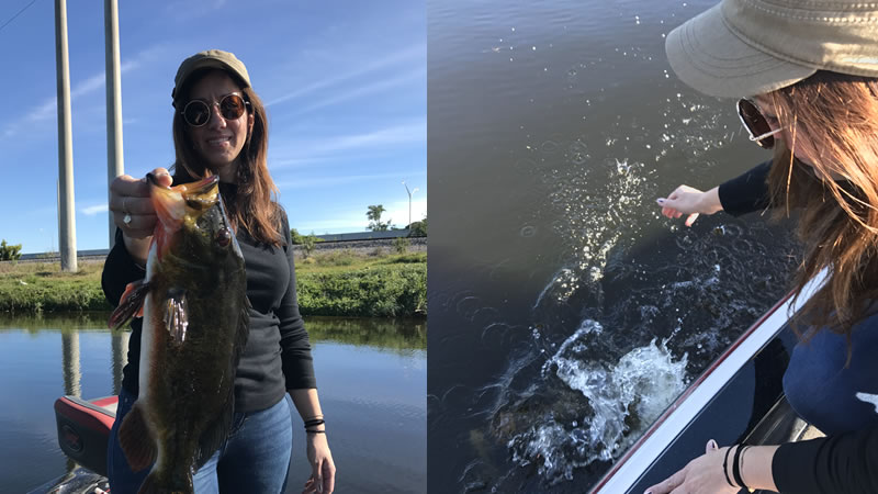 Florida Peacock Bass Trip