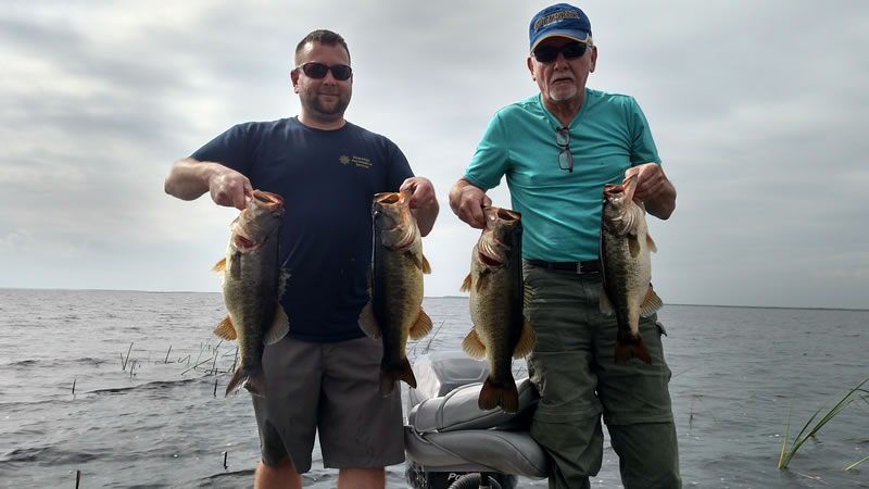 Swim Jig Bass Fishing