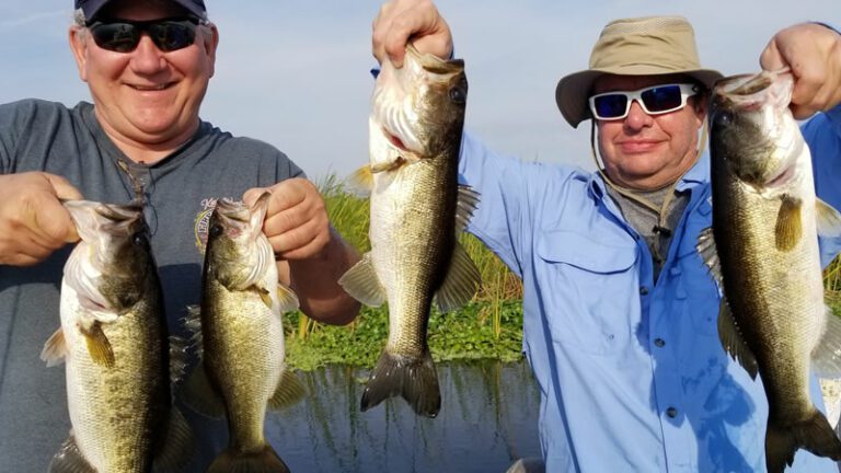 Group Bass Fishing