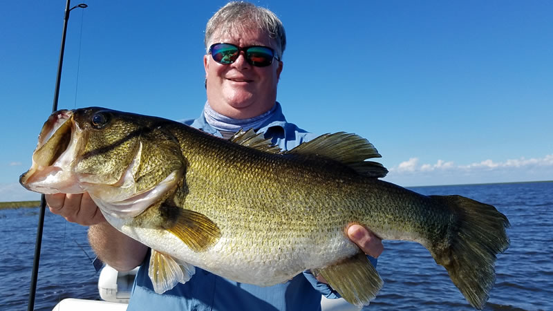 Artificial Big Bass Fishing