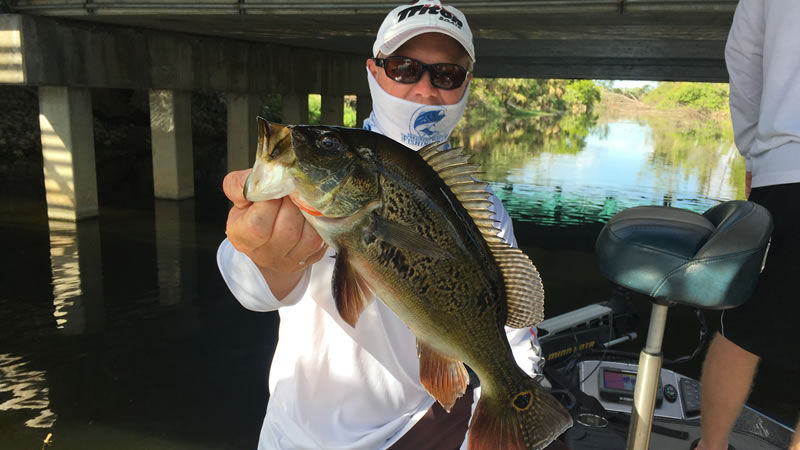 Captain First Peacock Bass