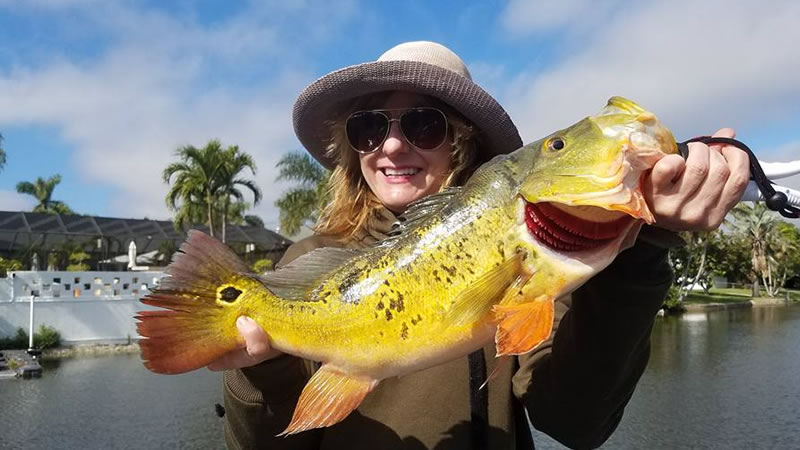 Super Nice Fishing Day in Miami Florida for Peacock Bass 1 Super Nice Fishing Day
