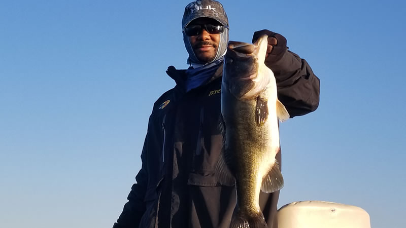 Central Florida Swim Jig Fishing