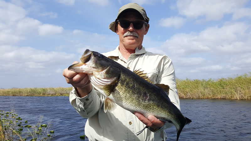 Exploring Glades Bass Fishing While Visiting South Florida 1 Glades Bass Fishing