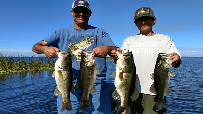 Eel Grass Bass Fishing