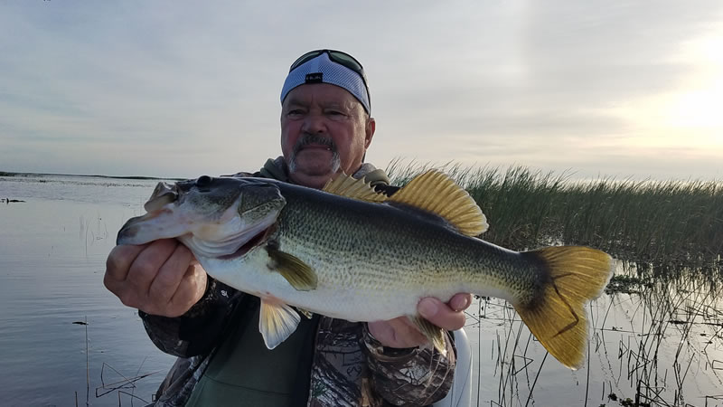 Cool Weather Bass Fishing