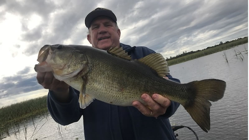 Lake Okeechobee Grass Fishing