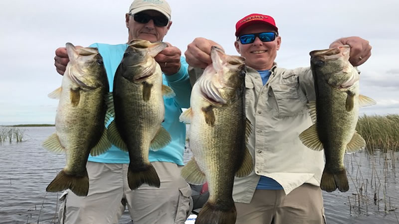 Golden Shiner Fishing Charter