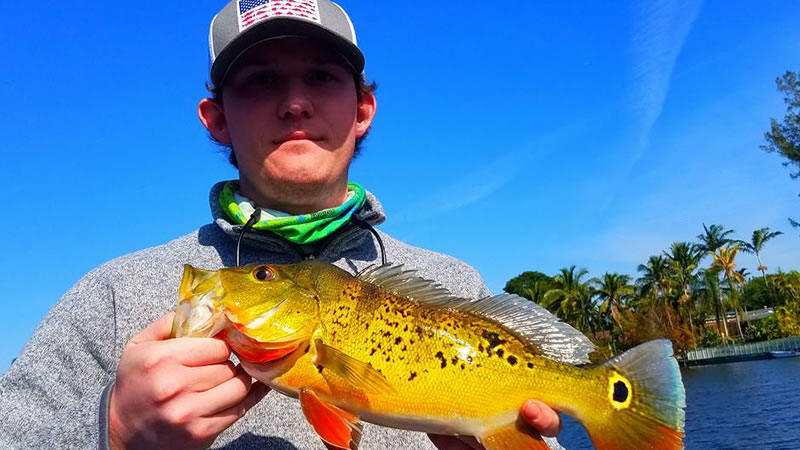 Excellent Day Peacock Bass Fishing