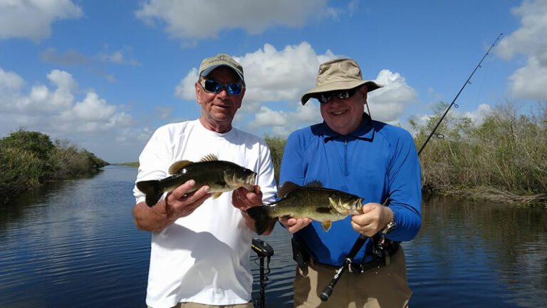 Everglades Canal Bass Fishing