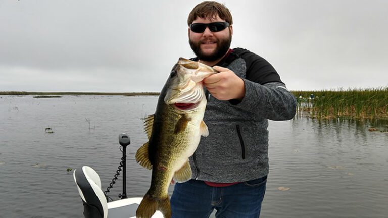 Chatter Bait Bass Fishing