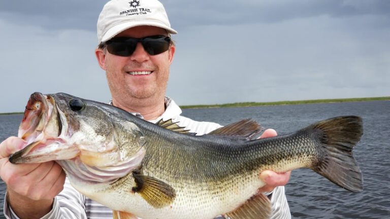 Big Female Bass Fishing