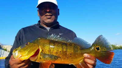 Airport Lakes Fishing in Miami Florida for Peacock Bass