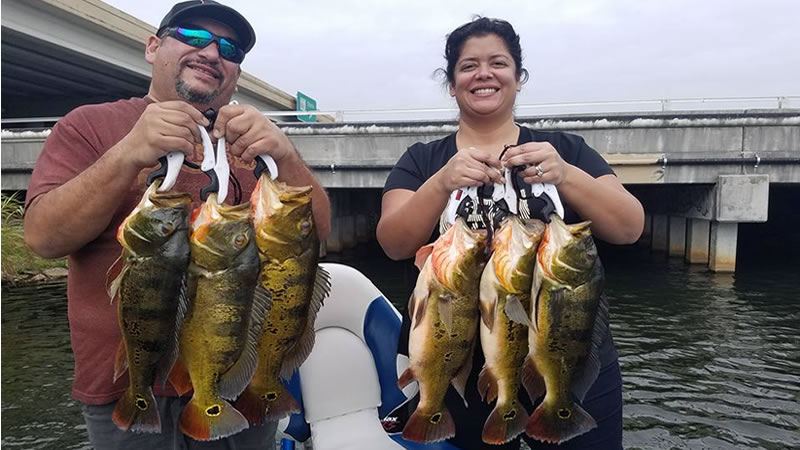 Florida Fishing Miami