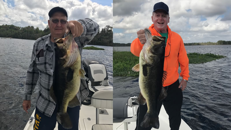 Monster Largemouth Bass Fishing