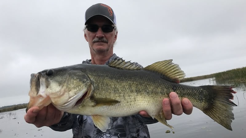 Artificial Fishing Charter