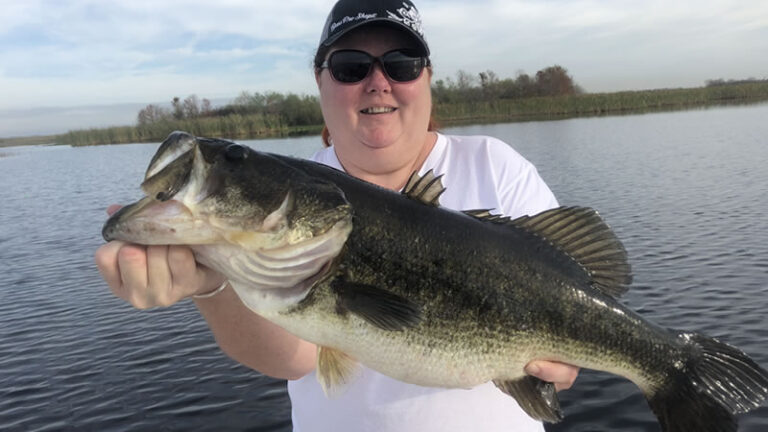 Florida Trophy Largemouth Bass Fishing