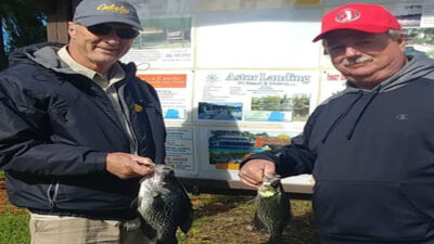 North Florida Panfish Fishing on the St. Johns River