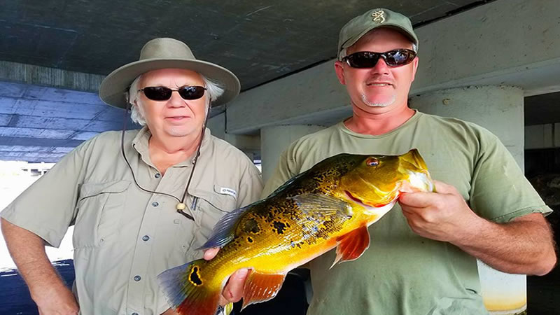 Miami Exotic Bass Fishing