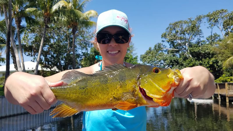 South Florida Bass Fishing Charter in Urban Lakes and Canals 1 South Florida Bass Fishing Charter