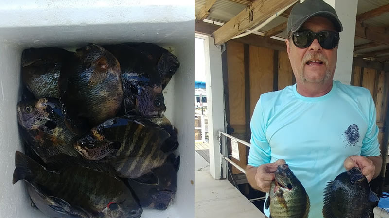 North Florida Fishing Action