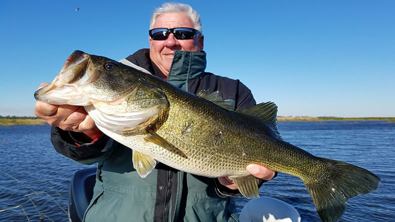 Lake Okeechobee Trophy Bass Fishing Charters in Florida 1 Trophy Okeechobee Fishing Charter