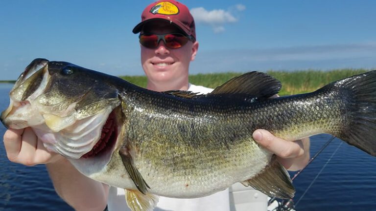Trophy Okeechobee Fishing Charter - Lake Okeechobee Trophy Monster Bass