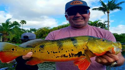 South Florida Peacock Bass Fishing