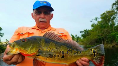 South Florida Peacock Bass Fishing