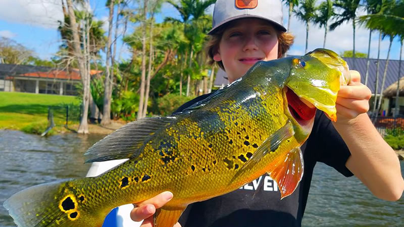 South Florida Peacock Bass Fishing