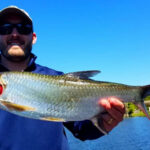 Miami Falls Canal thumbnail