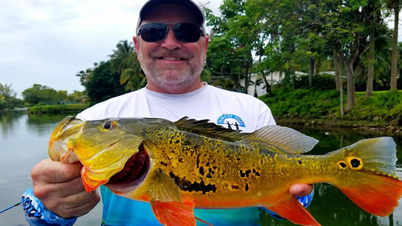 Summer Peacock Bass Fishing