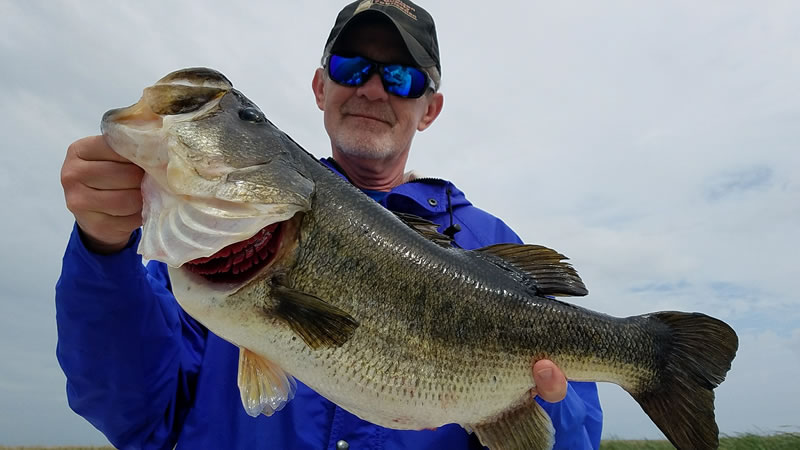 Summer Clewiston Bass Fishing