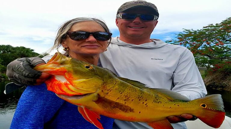 Summer South Florida Bass Fishing