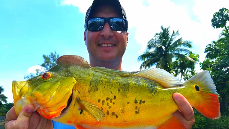 Backwater Canal Bass Fishing 1