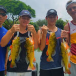 Airport Lakes thumbnail