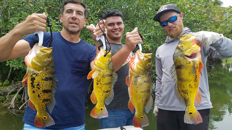 Fantastic Bass Fishing Charters