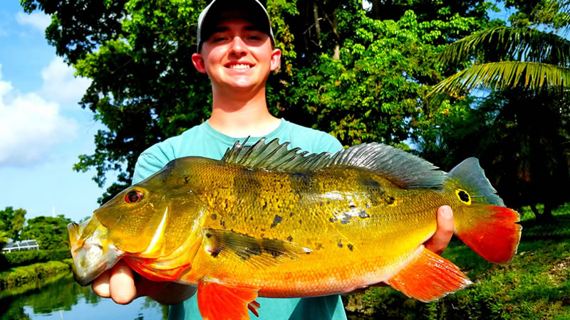 Falls Canal Bass Fishing