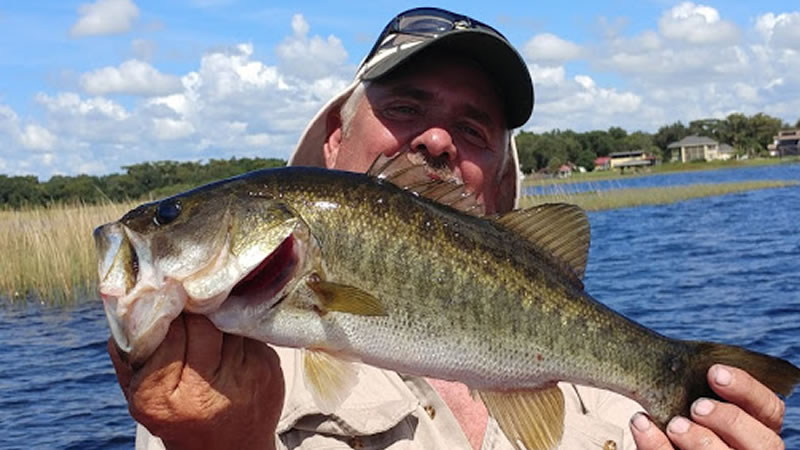 Lake Livingston photo