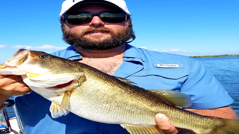 Shallow water bass fishing 1