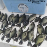 Mark Twain Lake thumbnail