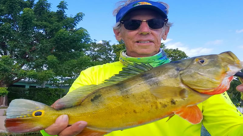 Giant Peacock Bass Fishing 3