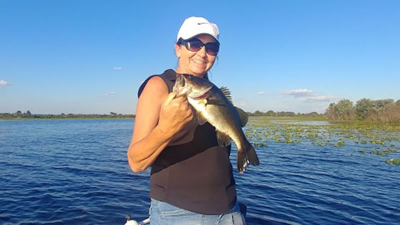 Split Artificial Kissimmee Fishing 3