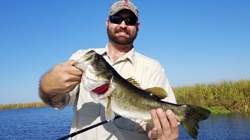 Angler holding a largemouth bass during a November Clewiston trip