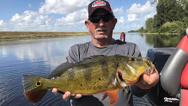 November Peacock Bass Fishing