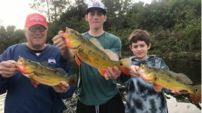 naples peacock fishing charters 2